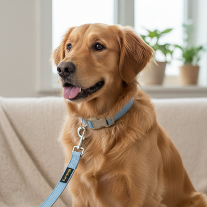Sustainable Cotton Hemp Dog Collar & Leash Set